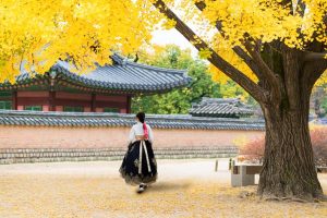 Fakta Budaya Menakjubkan Tentang Korea Selatan